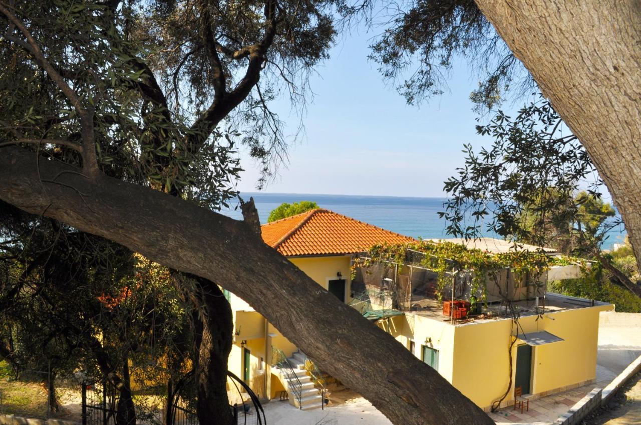 Appartement House Angelos B On Agios Gordios Agios Gordios (Corfu)